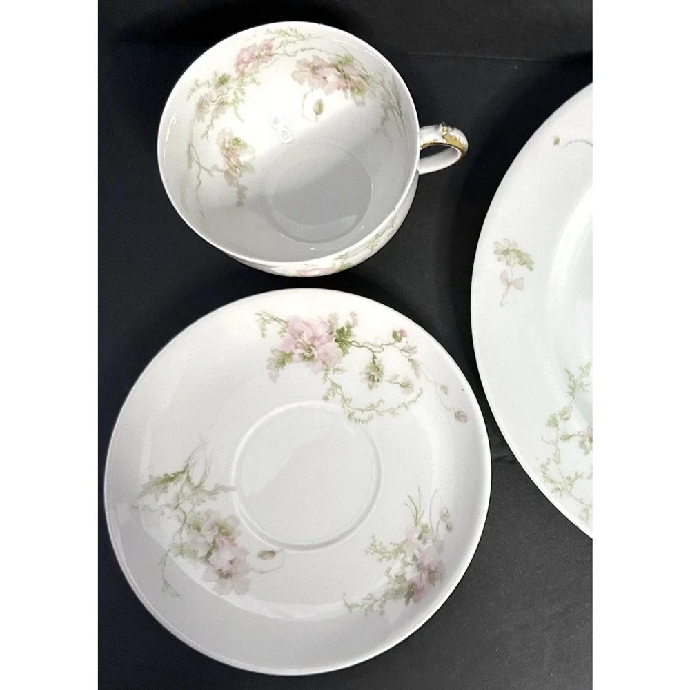 Charles Field Haviland Limoges France Pink Poppies Schleiger 377 Teacup & Saucer
